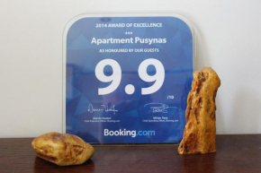 Apartment Pusynas